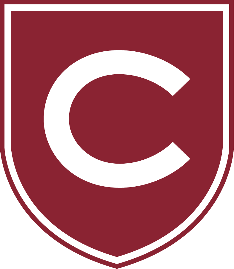 Colgate Raiders 2020-Pres Alternate Logo v2 diy iron on heat transfer...